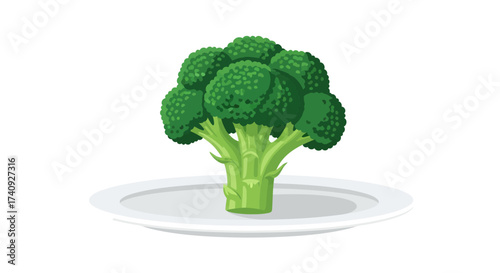 A vibrant green broccoli floret rests on a grey plate, isolated on a white background