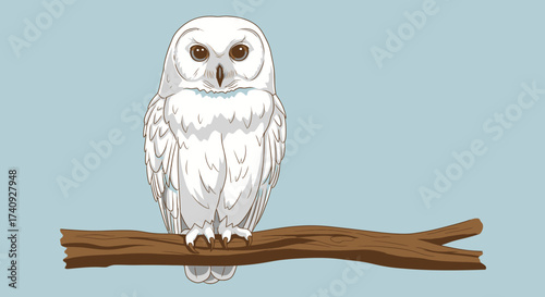Illustration of a snowy owl perched on a brown branch against a pale blue background