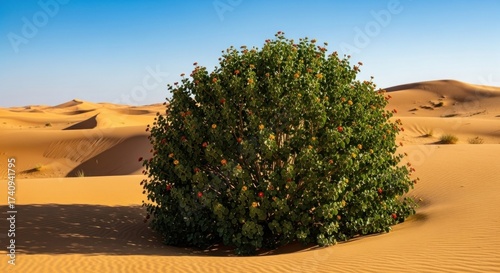 Desert plant verdant bush blooms amidst sun-kissed sand dunes under a clear sky