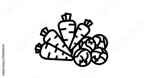 Fresh vegetables illustration of carrots and brussels sprouts healthy food concept.