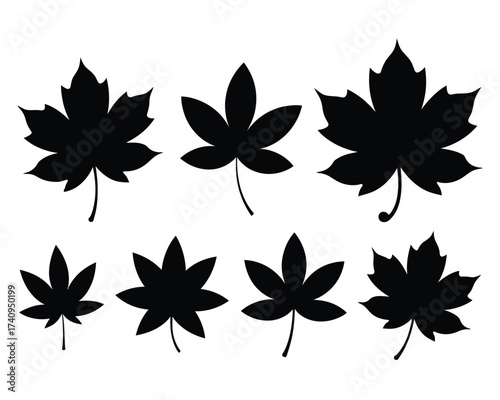 Set of eight black maple leaf silhouettes vector illustration scalable eps autumn icon collection silhouette vector illustration white background