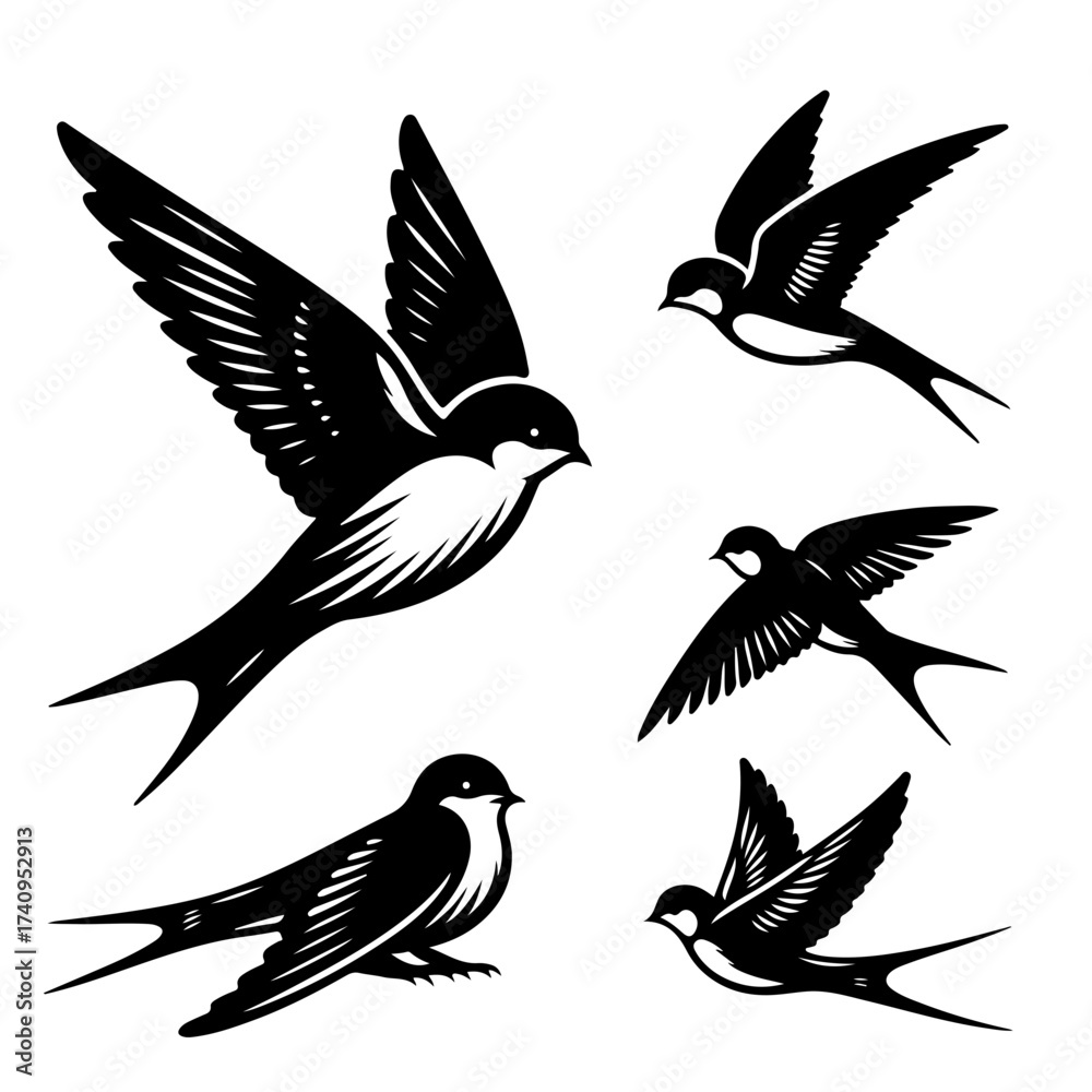 Fototapeta premium Illustration of a group of five swallow birds in various flying poses with detailed wing feather designs