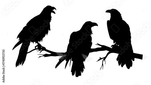 Majestic eagles perched on a branch, creating a striking silhouette perfect for nature, wildlife, or design projects, conveying power and freedom