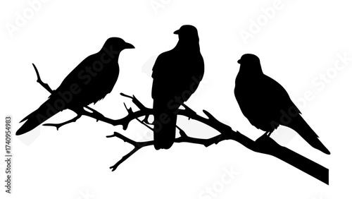 Three elegant birds perched on a branch silhouette in black, perfect for nature, design, and artistic projects, evoking a sense of calm and serenity.