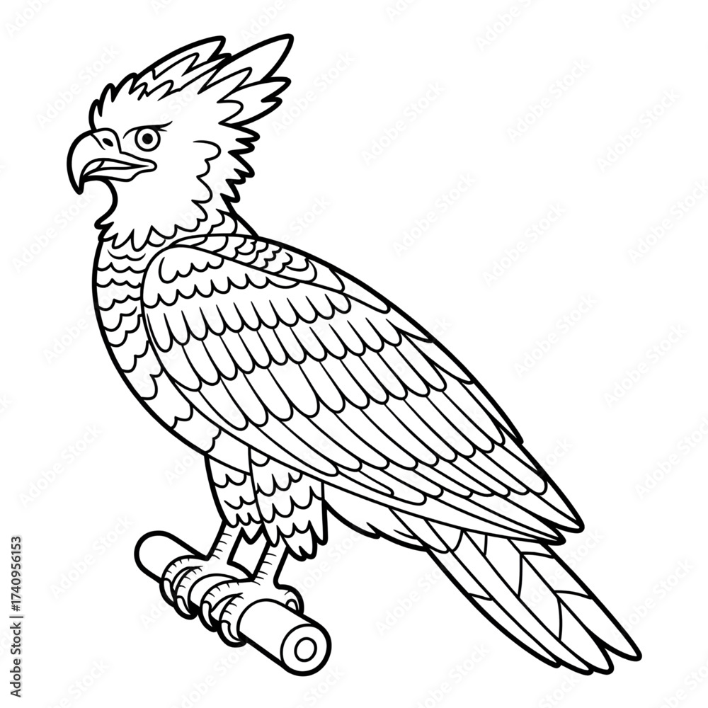 Obraz premium harpy eagle illustration vector style coloring page
