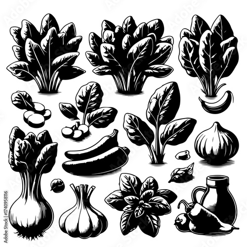 Illustration showing a variety of vegetables including spinach garlic basil and peppers in black and white