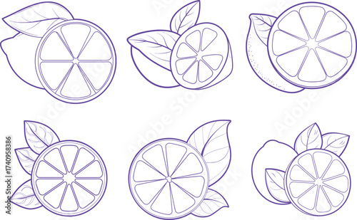 Line art illustration of a whole lemon and a sliced lemon with leaves