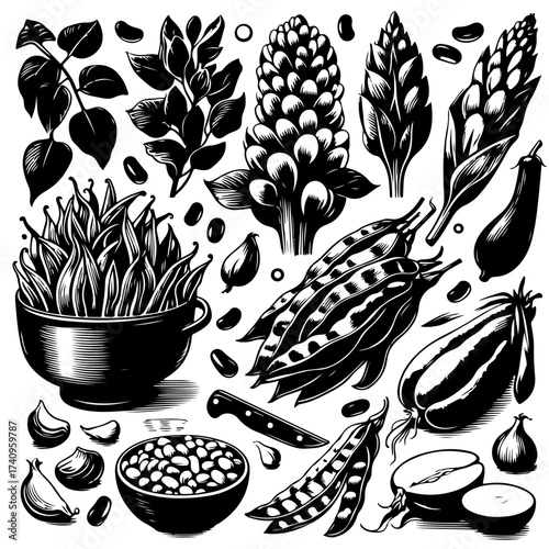 Illustration of various legumes and vegetables including beans peas and eggplants in black and white style