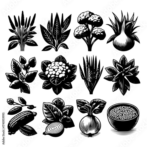 Illustration showing an assortment of different vegetables and plant life in black and white style