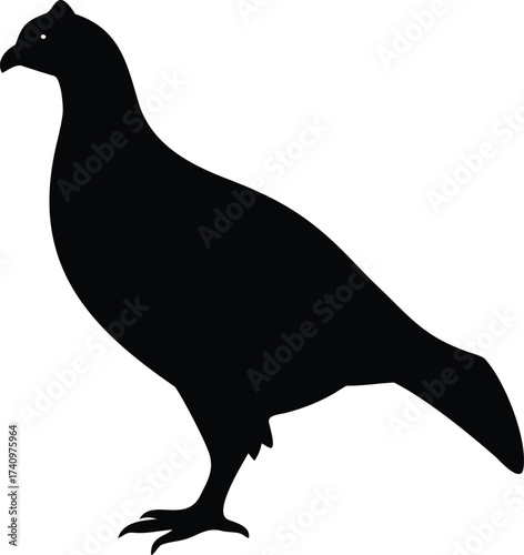 Greater Sage Grouse Flying Black Silhouette