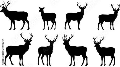 Set of deer silhouette illustration. Deer icon set vector design.