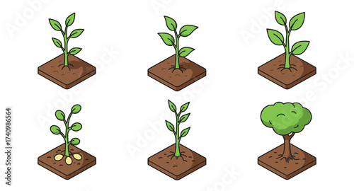 Growth stages of plants on soil patches in isometric style