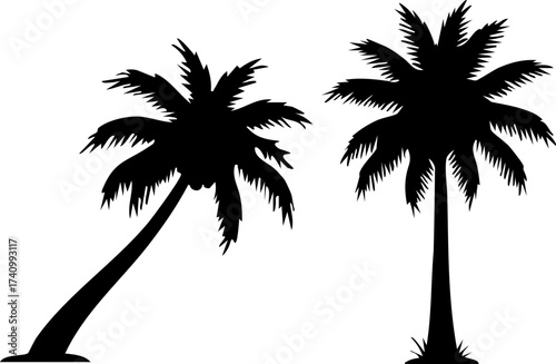 Two types of black shadows of coconut trees