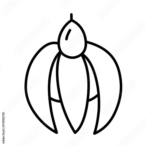 Essential Oils Vector Icon