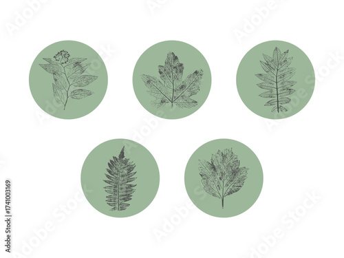 Botanical badges set, gray prints or stamps of plants inside green circles. Great for stickers, eco branding and minimalist packaging.