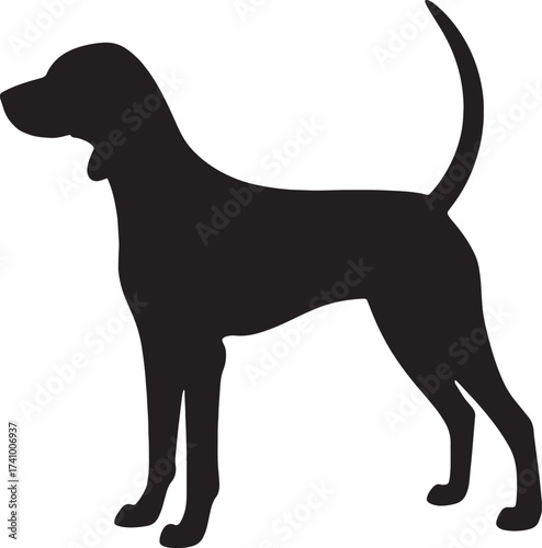 Silhouette of a graceful hound dog standing alert with tail raised a classic canine profile