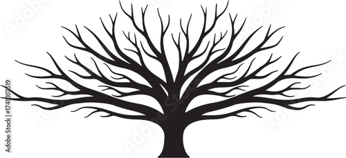 Elegant black vector silhouette of a large, symmetrically spread bare tree, perfect for symbolizing winter, strength, and organic themes in design projects.