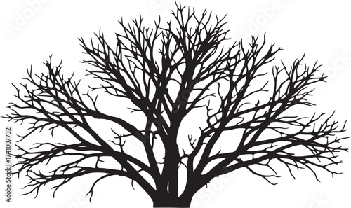 Detailed black vector silhouette of a large, mature, and tangled bare tree, perfect for symbolizing winter, nature, and organic themes in design projects