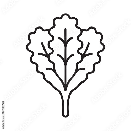 kale icon outline vector illustration on transparent background
