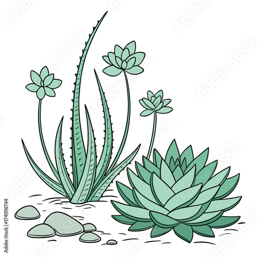 A charming hand drawn illustration of various green succulents and aloe vera plants growing in soil with smooth pebbles scattered around