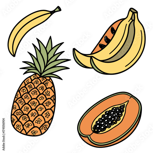 A vibrant collection of hand drawn tropical fruits including a whole pineapple two bananas and a sliced papaya