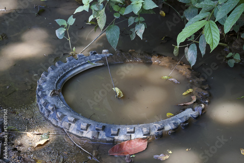 Discarded tire holding stagnant water, dangerous mosquito breeding ground. potential disease and pollution hazard for environment, forgotten object left in muddy outdoors