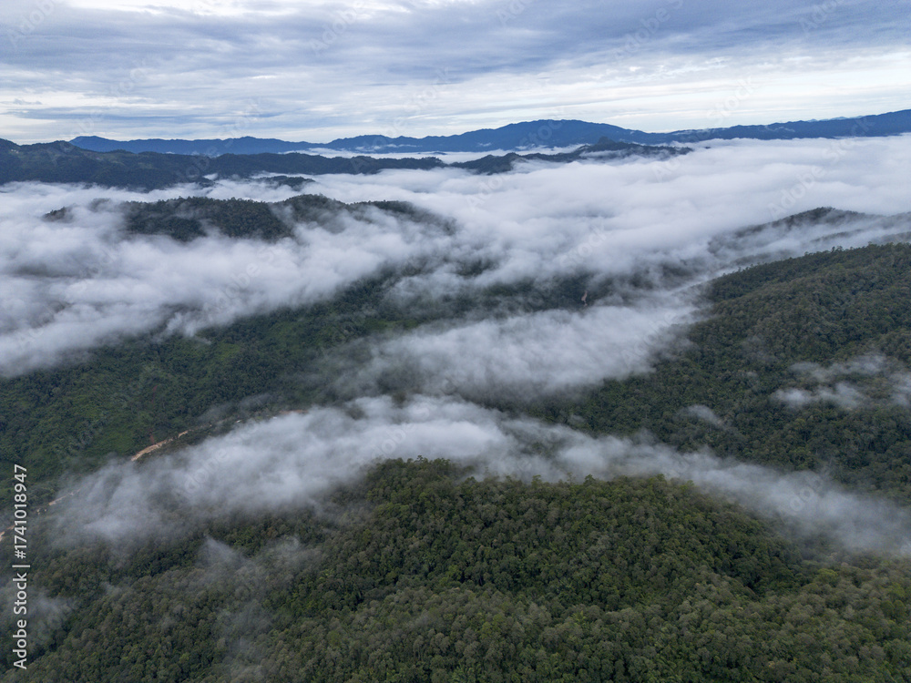 Obraz premium Serene aerial view of majestic green mountain landscape covered with sea of clouds. tranquil fog fills valley on peaceful morning creating stunning vista