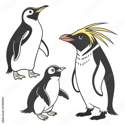 Three charming cartoon penguins depicted in a simple flat illustration style with bold outlines and a white background