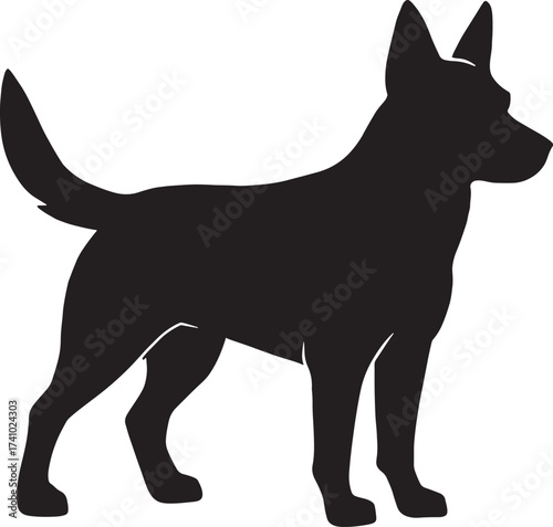 Silhouette of a standing belgian malinois dog breed loyal companion for various design projects