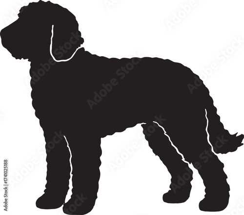 Silhouette of a fluffy dog breed standing profile view a common dog breed representation