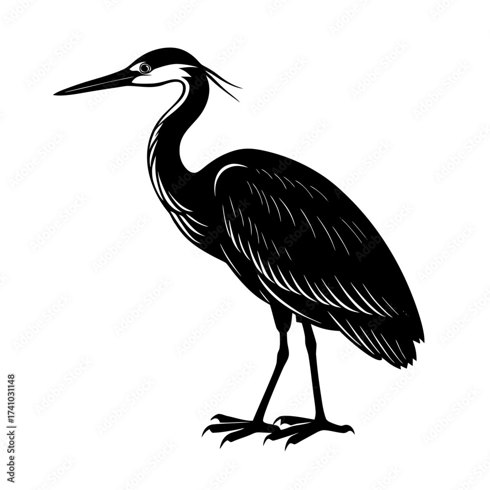 Obraz premium heron on the beach