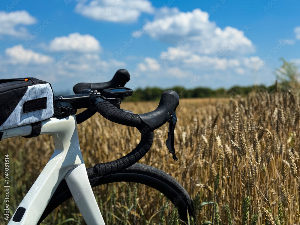 Fototapeta premium Cycling Adventure in the Countryside with a Road Bike