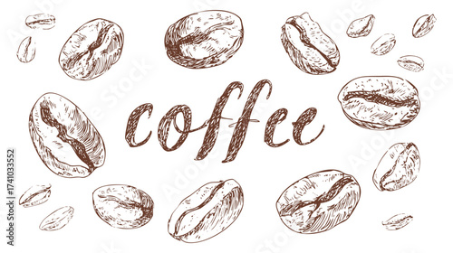A seamless pattern of hand-drawn coffee beans with the word 'coffee' in a stylish font