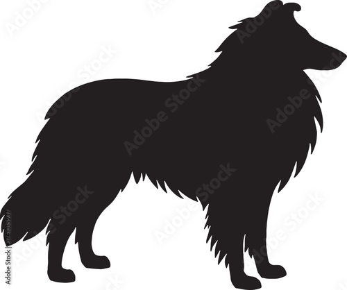 Elegant collie dog silhouette majestic breed profile full body side view