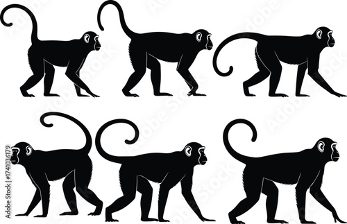 Monkey silhouette vector illustration, walking monkey poses, animal motion study, black primate profile, wildlife clipart, cartoon monkey graphics, isolated design elements