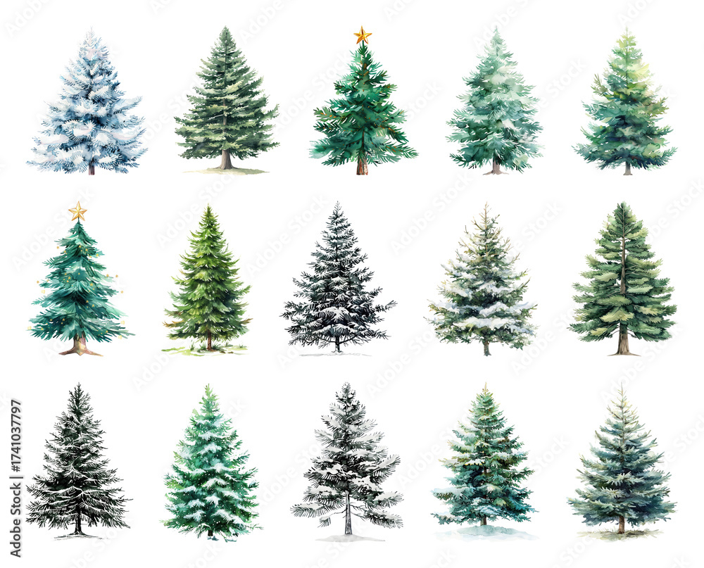 Obraz premium Variety of snow-covered evergreens.
