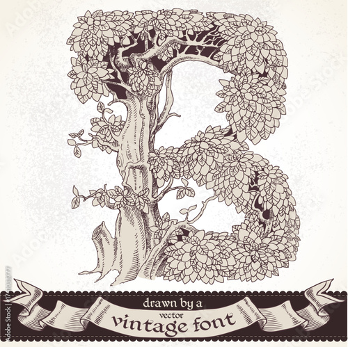 Fable forest hand drawn by a vintage font - B
