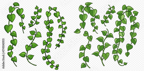 Illustration of several string of heart vines with green heart-shaped leaves.