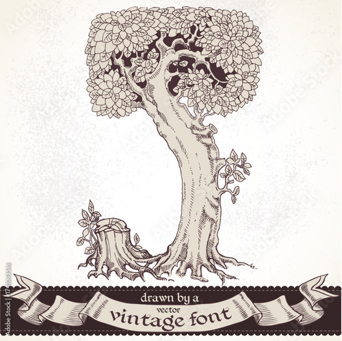 Fable forest hand drawn by a vintage font - J
