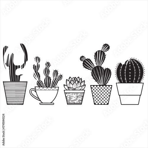  plant, pot, cactus, nature, spring, gardening, hyacinth, illustration, decoration, vector, isolated, 