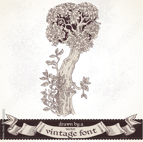Fable forest hand drawn by a vintage font - I