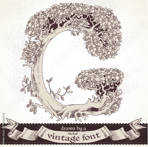 Fable forest hand drawn by a vintage font - G