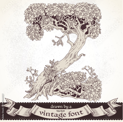Fable forest hand drawn by a vintage font - Z