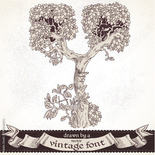 Fable forest hand drawn by a vintage font - Y