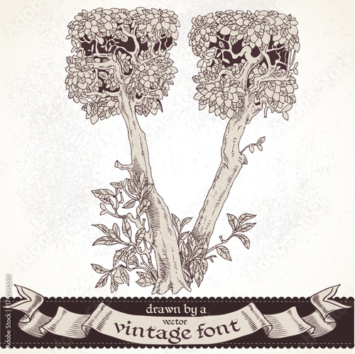 Fable forest hand drawn by a vintage font - V