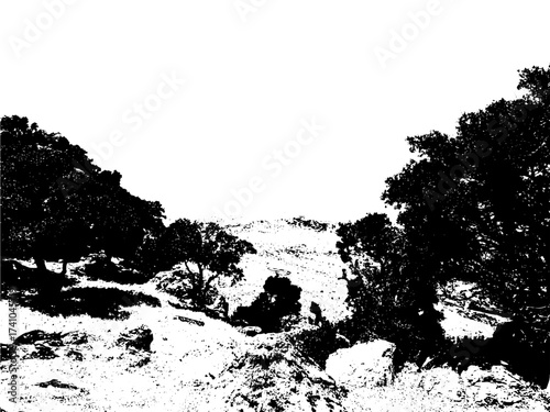 Scenic landscape with trees on a bright day, perfect for travel brochures and nature-themed websites offering a peaceful escape and promoting ecotourism adventures for relaxation and exploration