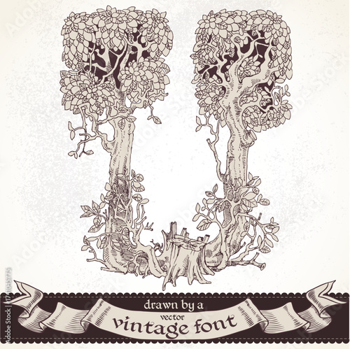 Fable forest hand drawn by a vintage font - U