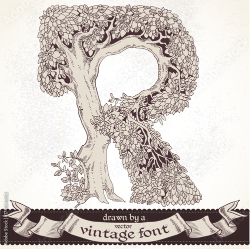 Fable forest hand drawn by a vintage font - R