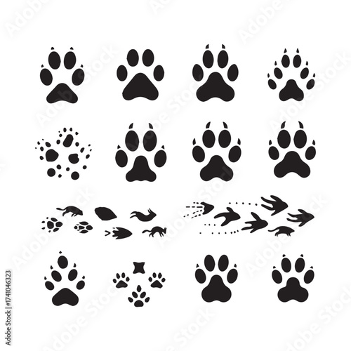 Assortment of Animal Paw Prints Footprints and Animal Silhouettes in Motion on White Background