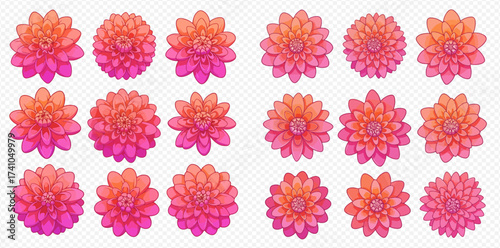 A collection of vibrant pink and orange dahlia flowers arranged in a grid pattern.